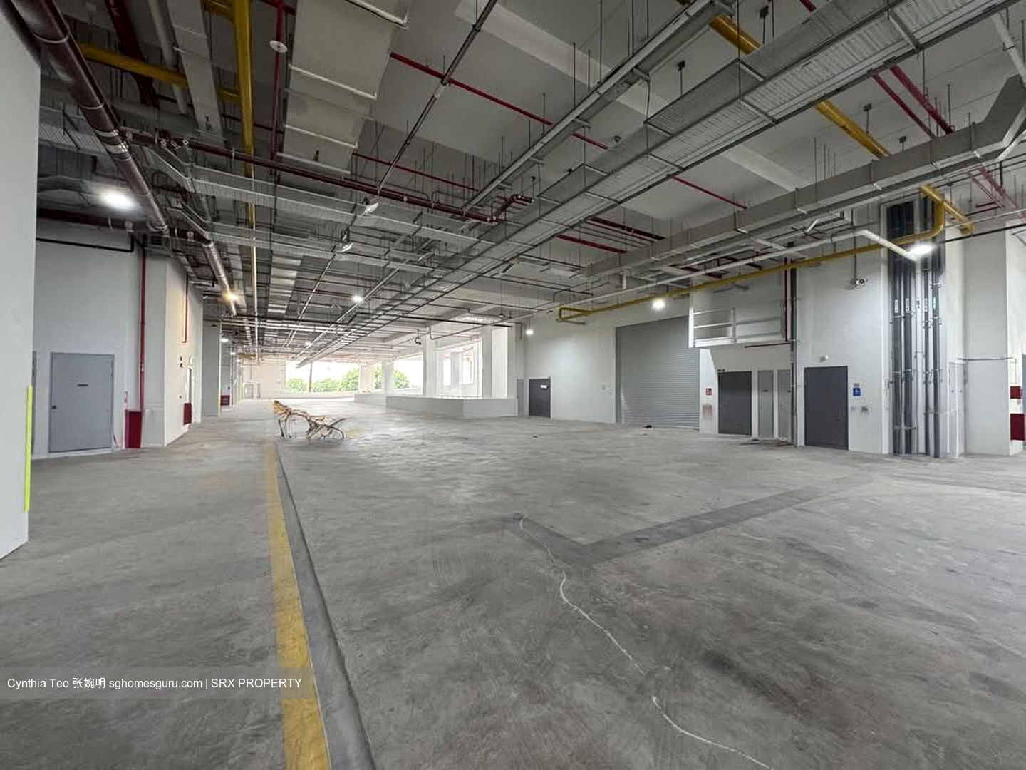Ct Foodnex (D25), Factory #537660101